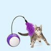 CAT TUMBLER SWING TOY